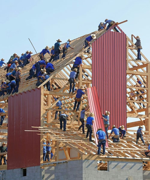 Design & Build